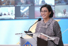 Wajib Tahu! MenPAN RB Atur 3 Skema Gaji Digunakan Khusus Honorer Lolos PPPK 2024 