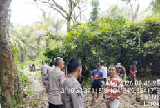 Diduga Depresi Karena Penyakit yang Diderita, Seorang Pria di Lorok Ogan Ilir Ditemukan Tergantung di Pohon