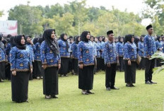 Ini Penyebab PPPK Paruh Waktu di Banyuasin Belum Terima Gaji