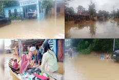 Puasa ke 9 Banjir Masih Melanda Kecamatan Rawas Ilir, Rumah Bupati Muratara Juga Ikut Terendam