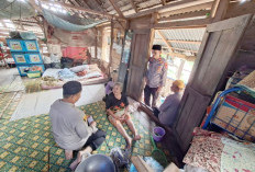 Rumah Lapuk Milik Lansia Rusak Ditimpa Dahan Pohon Roboh, Kapolsek Tanjung Raja Gercep Berikan Santunan