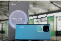 HP Vivo Terbaru Tawarkan RAM Besar Cocok Aktivitas Berat