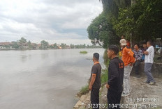 Kemunculan Buaya di Sungai Komering Kayuagung, BPBD OKI Himbau Masyarakat Waspada Beraktivitas di Sungai