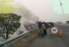 Lahan Pinggiran Ruas Tol Kayuagung KM 356 Jejawi Terbakar, Babinsa Berjibaku Padamkan
