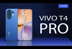 Vivo T4 Pro Hadirkan Kapasitas Baterai Besar 6000 mAh dengan Tampilan Layar AMOLED 