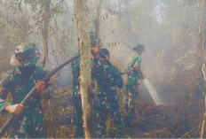 Satgas Karhutla Koramil Pampangan Sigap Padamkan Kebakaran Lahan di Desa Sungai Bungin OKI