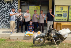 Curi 700 Kg Jeruk untuk Modal Judi Online, Pria di Rantau Sialang Ogan Ilir Diamankan Polsek Muara Kuang