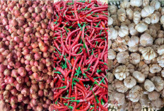 Harga 11 Bahan Kebutuhan Pokok di Sumsel Terpantau Stabil, Beras Premium Rp 15.000 Per Kg