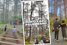 Luar Biasa Bibik Burgo Pamer Punti Kayu Sudah Sebagus Ini, Netizen Dibikin Takjub