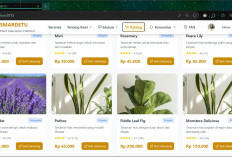 SMARDETU Karya Tim Okee Gasss Universitas Bina Darma Masuk Top 10 INBIZ 2025, Inovasi Digital untuk UMKM Tanam