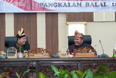 Gubernur Herman Deru Dorong Banyuasin Perkuat Peran Pelayan Publik di Usia ke-24