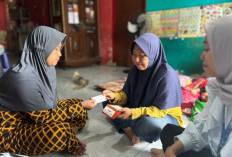 Dari Usaha Rumahan, Perempuan Ini Melejit Bareng Holding Ultra Mikro dan BRILink
