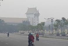 Diguyur Hujan, Kabut Asap di Pekanbaru Makin Pekat