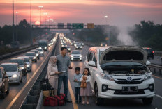 Baca Dulu, Baru Mudik: Tips Anti Boncos Pilih Mobil Bekas 7 Seater
