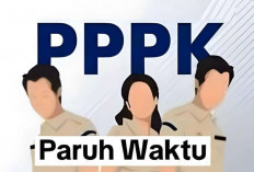 BKN Resmi Tetapkan NIP Tenaga Honorer Diangkat Menjadi PPPK Paruh Waktu