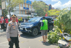 Niat Berteduh Berujung Maut: Driver Ojol Palembang Tewas Tertimpa Pohon, Uang Hasil Narik Jadi Saksi Bisu