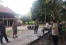 Ada Dugaan Judi Sabung Ayam di Desa Muara Kumbang, Polsek Rantau Alai Ogan Ilir Gerak Cepat Cek ke Lokasi