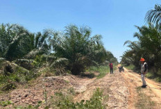 BPBD OKI Turunkan Tim TRC, Jalan Rusak di Mesuji Raya Akibat Hujan 