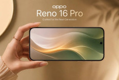  OPPO Reno 16 Dikabarkan Hadirkan Fitur Intelligent Electronic Screen, Dukung Personalisasi Wallpaper