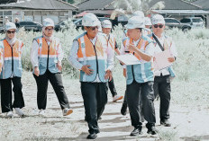 Wakil Komut & Komisaris Pelindo Tinjau Langsung Kinerja Dan Pengembangan Pelabuhan Sungai Lais
