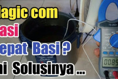 Nasi Cepat Basi di Rice Cooker? Ini Penyebab Utama dan Cara Mengatasinya