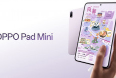 Oppo Pad Mini, Tablet Layar OLED 144Hz dan Baterai 8.000 mAh, Berikut Spesifikasi dan Harga 