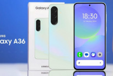 Galaxy A36 5G, HP Baru Samsung dengan Snapdragon 6 Gen 3 dan Fitur Canggih Tiba di Indonesia