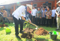Wagub Sumsel Cik Ujang Tanam Pohon di SMAN 1 Lubuklinggau, Dorong Terwujudnya Sekolah Hijau