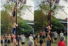 Serunya Panjat Pinang RT 25, “Bule” Rela Bergelut dengan Oli Demi Rebut Hadiah