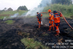 Lahan Sawit di Mulyaguna Terbakar dan Lahan Gambut Lokasi Berbeda, Tim Gabungan Berjibaku