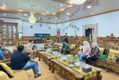 Buyer Asal Dubai Tinjau Kualitas Kopi di Lahat, Diterima Langsung oleh Bupati