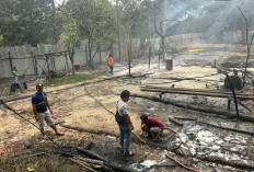 Sumur Minyak Ilegal di Bayung Lencir Muba Kembali Terbakar, Lima Orang Alami Luka Bakar