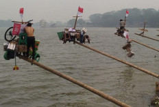 Menantang, Siap-Siap Byur!  Festival Panjat Pinang 2026, Ada yang Miring ke Danau JSC Dilumuri Sabun Colek
