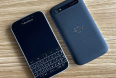 BlackBerry Berubah Jadi HP China, Zinwa Q25 Pro Hadirkan Desain Baru dan Teknologi Android 