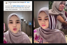 Safitri Dicerai Suami PPPK di Aceh Dapat Bantuan Modal Usaha, Lovika: Tenang Kak Saya Bantu Semua    