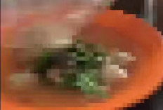 Viral Perempuan di Palembang Kaget Beli Bakso Campur Daging Kodok, Penjual Hanya Persoalkan PPN