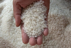 Batas Waktu Bayar Zakat Fitrah 2026 Menurut Keputusan MUI dan Baznas