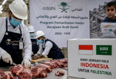 Dam Jemaah Haji Indonesia 2026 Lebih Transparan, Indonesia Salurkan Daging ke Palestina