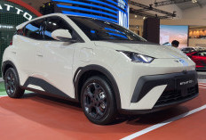 Review BYD Atto 1, Mobil Listrik Mungil Bodi Ringkas yang Lagi Naik Daun