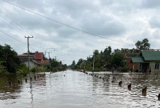 Update Banjir Banyuasin: Muara Sugihan Terendam, Warga Diminta Waspada hingga 18 Januari 2026