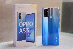 Harga OPPO A53 di Juni 2025 Kian Terjangkau! HP Powerful Dengan Kamera Fotografi Unggulan