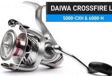 5 Rekomendasi Reel Pancing Terbaik 2026 Primadona Mancing Mania di Bawah Rp500 Ribu, Tangguh untuk Air Asin