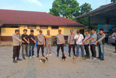 Tindaklanjuti Laporan Warga, Polsek Tanjung Raja Datangi Lokasi Judi Sabung Ayam di Kerinjing Ogan Ilir