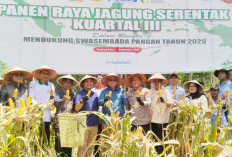 Wakapolres Ogan Ilir Pimpin Forkopimda Panen Raya Jagung Serentak Kuartal III 2025 Bersama Kapolri Via Virtual