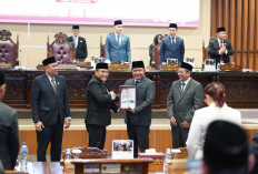 Pemprov Sumsel Raih Opini WTP ke-11 Berturut-Turut dari BPK RI atas Laporan Keuangan 2024