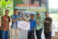 Langkah Nyata PTBA Tingkatkan Hasil Panen Petani Muara Enim Lewat Uji Coba Pemanfaatan Kalium Humat