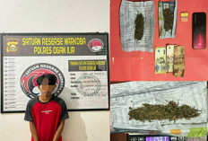Pengedar Ganja Ditangkap Sat Res Narkoba Polres Ogan Ilir, Polisi Temukan 14,07 Gram dari Pelaku