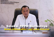 Sedih! Tidak Ada Lagi Pengangkatan Honorer Jadi PPPK Tahun Depan, Bagaimana! 