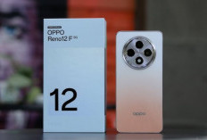 OPPO Reno12 F: HP OPPO RAM 8 GB, Harga Cuma Rp 2 Jutaan dengan Fitur Lengkap! Ini Spesifikasinya