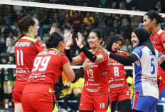 DRAMATIS! Libas Petrokimia, Pertamina Enduro Lolos ke Grand Final Proliga 2025! Hallo, Megawati?